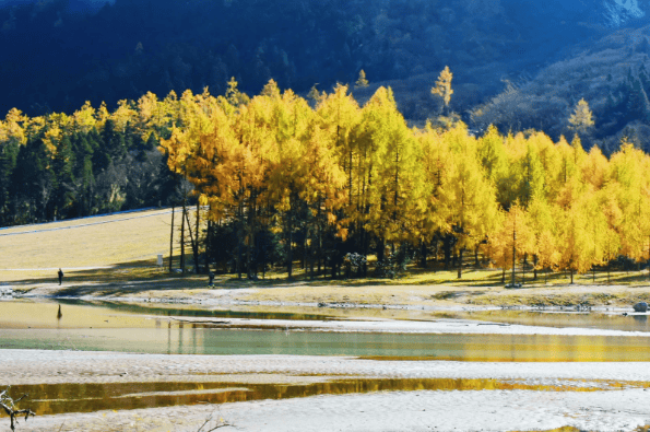 游通天下领跑团体服务多品牌差异化深耕细分市场新葡京娱乐城20
