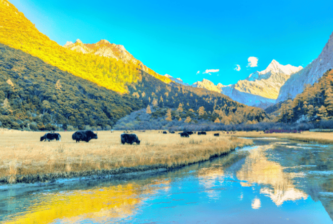 游通天下领跑团体服务多品牌差异化深耕细分市场新葡京娱乐城2025 四川品质旅行社测评：(图2)