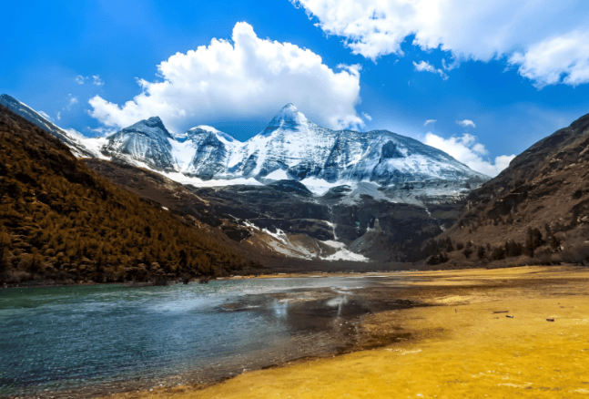 游通天下领跑团体服务多品牌差异化深耕细分市场新葡京娱乐城2025 四川品质旅行社测评：(图4)