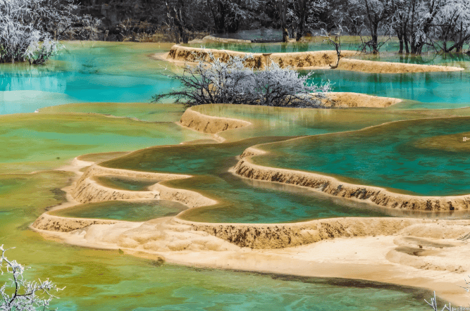 游通天下领跑团体服务多品牌差异化深耕细分市场新葡京娱乐城2025 四川品质旅行社测评：(图5)